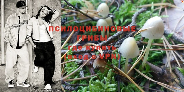 эйфоретик Арсеньев