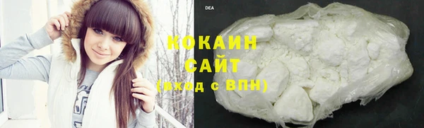 эйфоретик Арсеньев