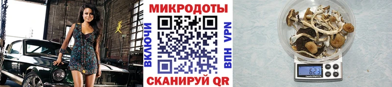 даркнет сайт  Дюртюли  кракен tor  darknet формула  Галлюциногенные грибы мицелий 